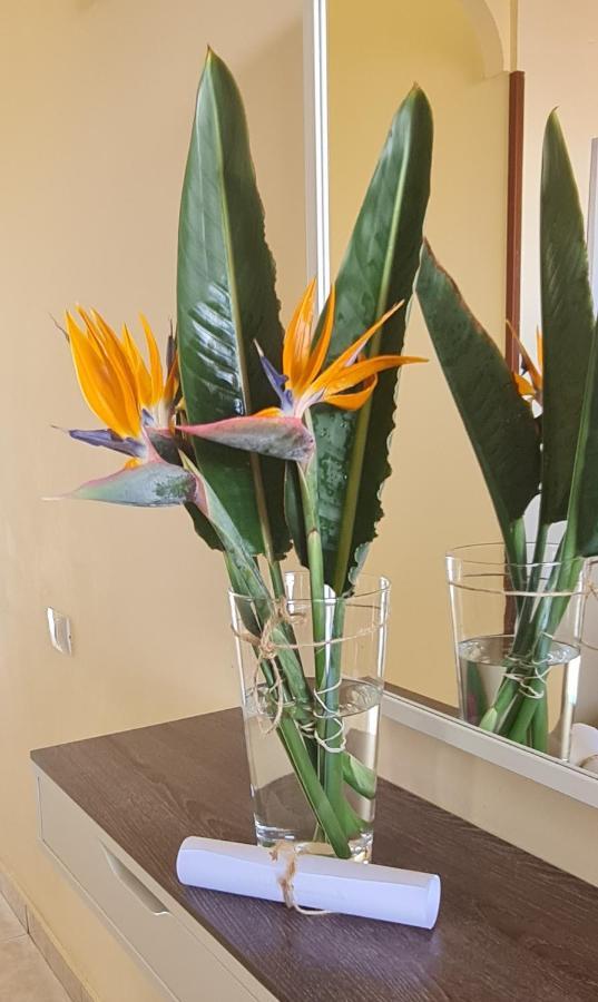Apartamentos Strelitzias Playa del Inglés Kültér fotó